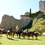 Castello_Romena_horse_2